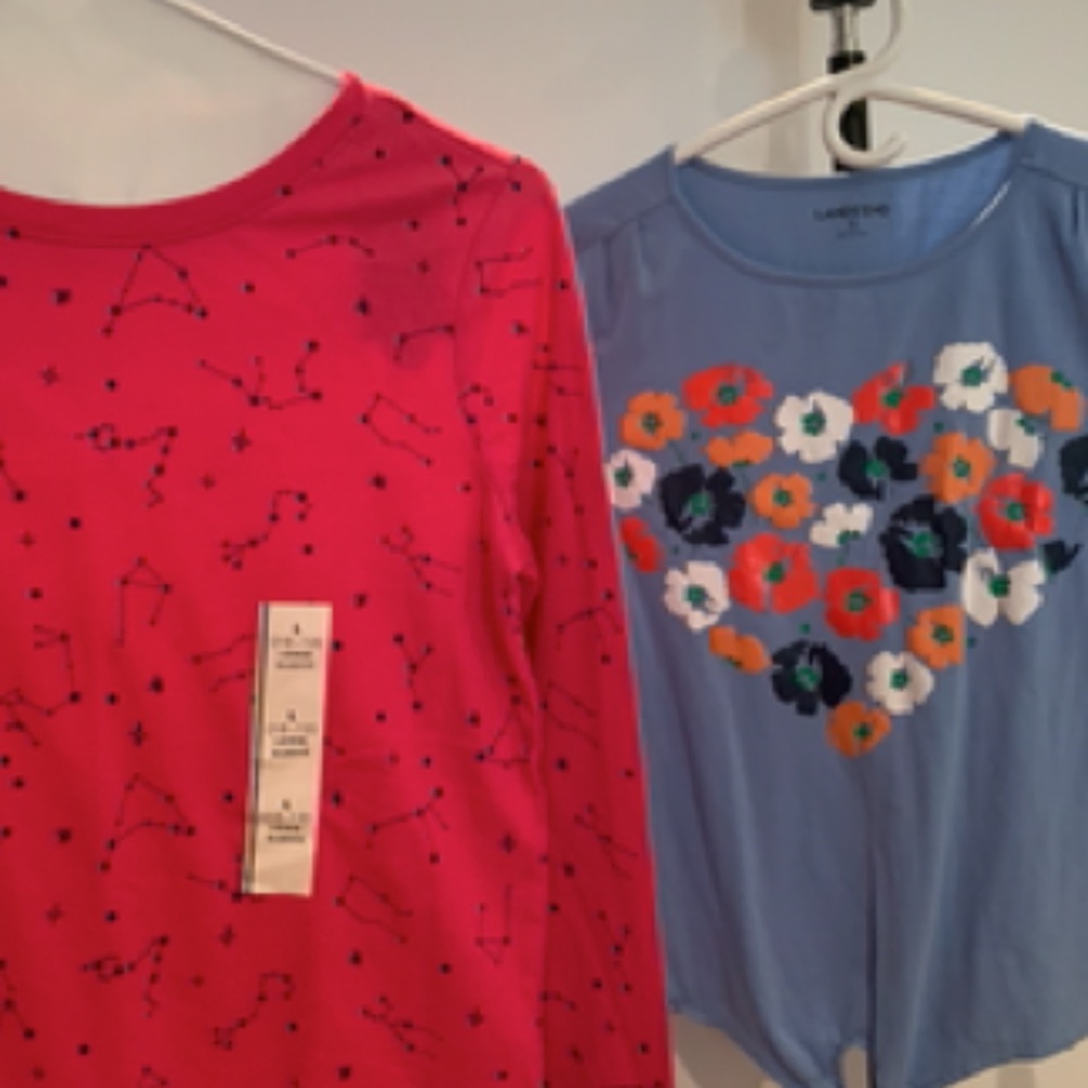 2 Girls Shirts,  Size 10-12 One pink, one blue